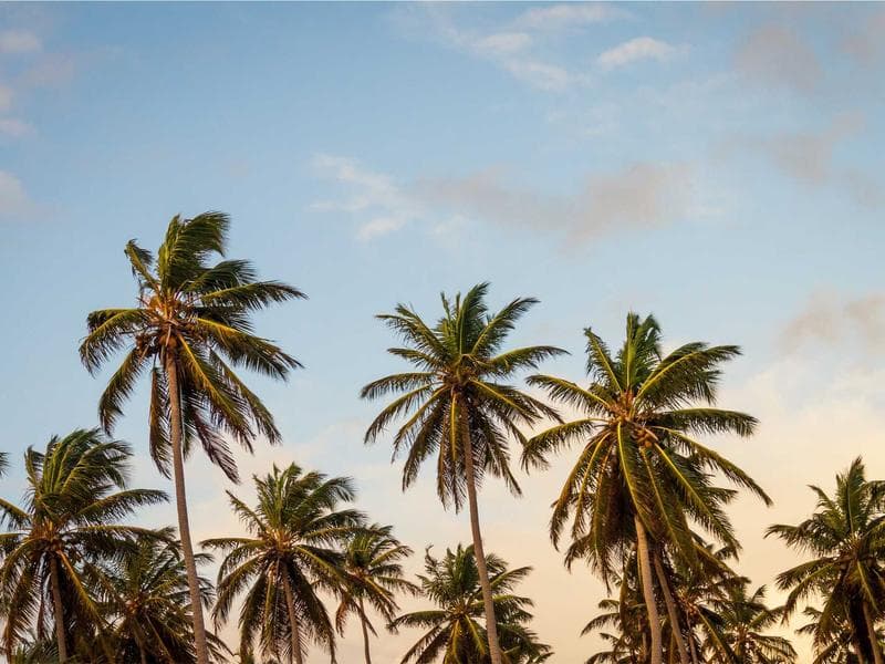 Plage paradisiaque à Praslin